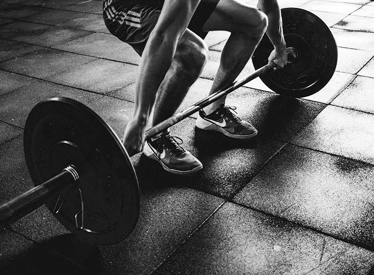 Weights and training equipment at GoGo Fitness